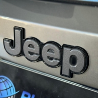 RENEGADE LIMITED 1.8